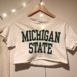 Michigan State crop top